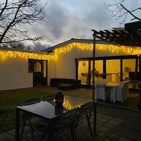 Bungalow Haarlem Amsterdam With Jacuzzi Vijfhuizen Eksteriør billede