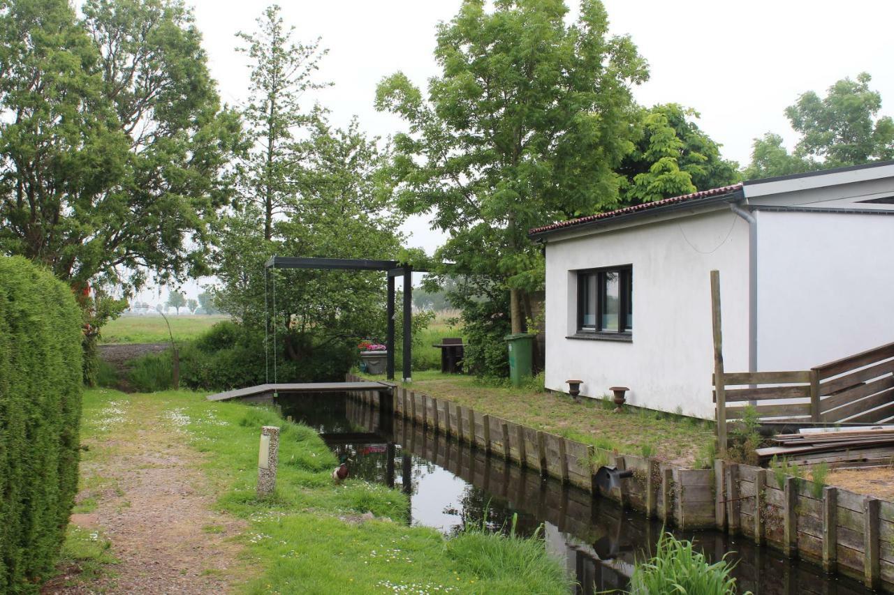 Bungalow Haarlem Amsterdam With Jacuzzi Vijfhuizen Eksteriør billede